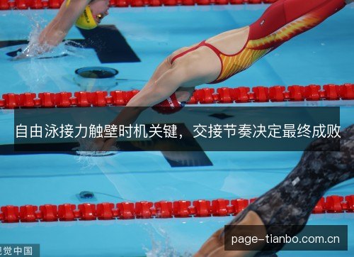 自由泳接力触壁时机关键,交接节奏决定最终成败 自由泳接力触壁时机关键,交接节奏决定最终成败